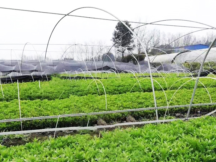 东莞凯达专注生产农业用玻纤杆 玻璃纤维树木支撑杆
